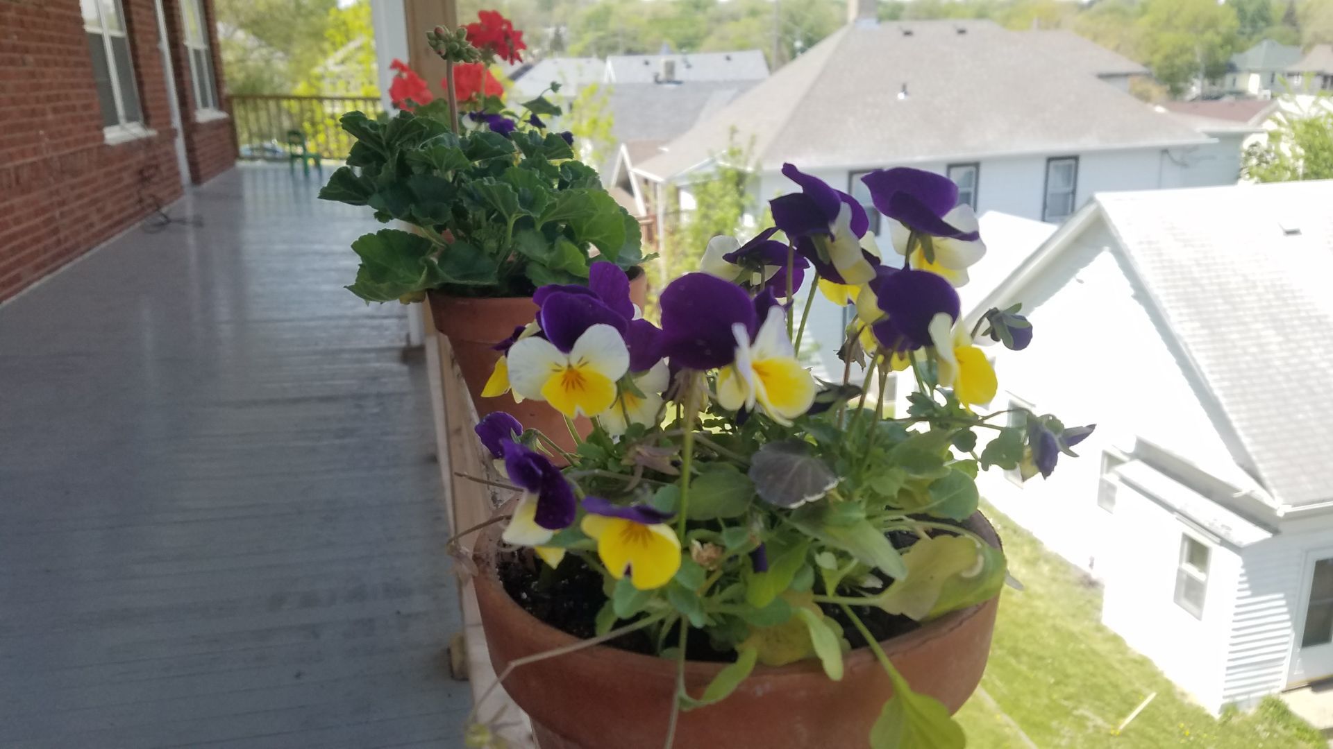 Flowers on porch